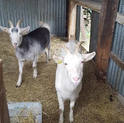 Prázdninový dům De La Croisette *