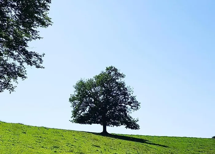 Prázdninový dům De La Croisette Sommeilles